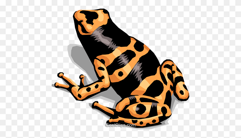 480x424 Colorful Frog Royalty Free Vector Clip Art Illustration - Colorful Frogs Clipart