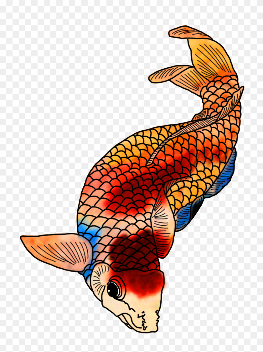 736x1063 Красочные Рисунки Рыб Кои - Мощный Клипарт