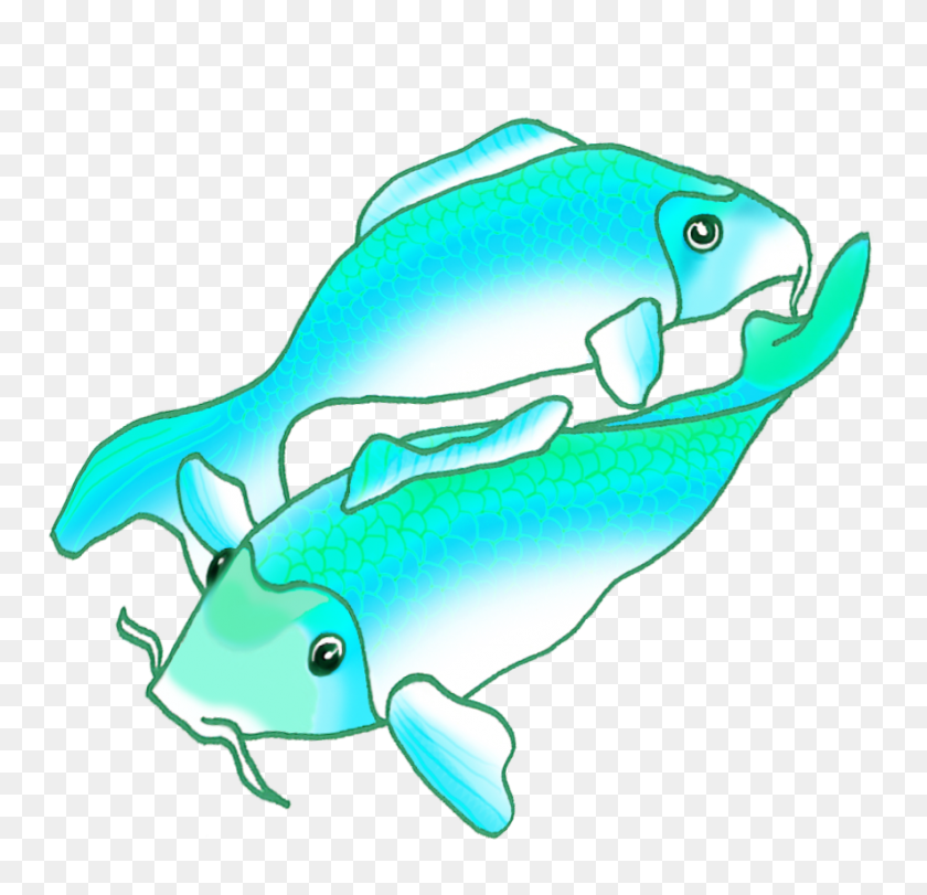886x854 Красочные Рисунки Рыб Кои - Рыбья Чешуя Png