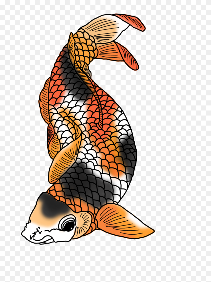 736x1063 Красочные Рисунки Рыб Кои - Смешные Рыбы Клипарт