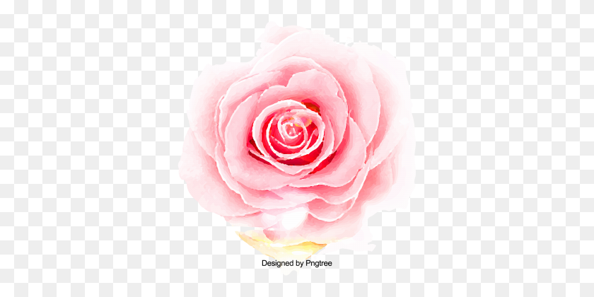 360x360 Colorful Petals Png, Vectors, And Clipart For Free Download - Flower Petals PNG
