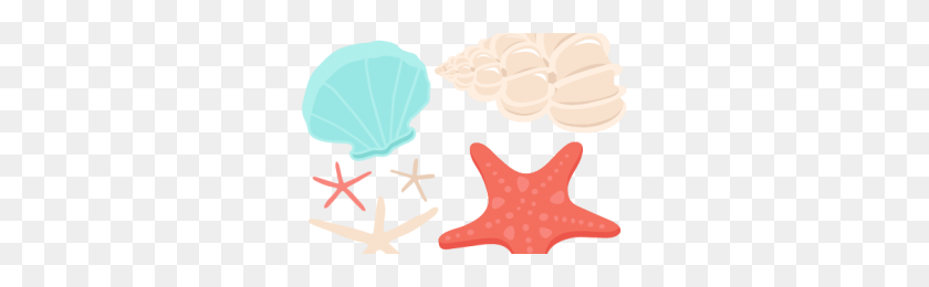 300x200 Colorful Seashell Clipart Png Clipart Station - Seashells PNG