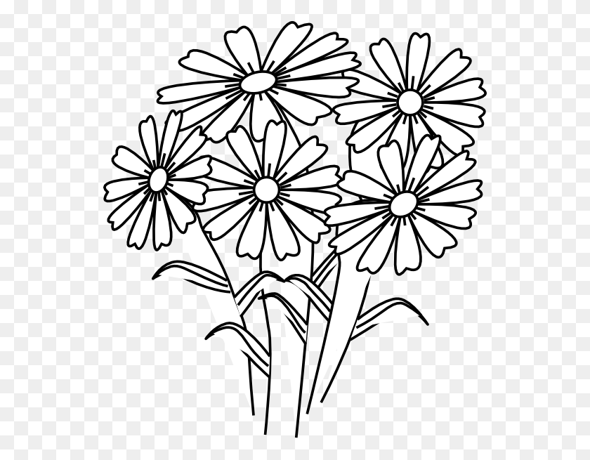 546x595 Книжка-Раскраска Flowers Koe - Johnny Appleseed Clipart Черно-Белый