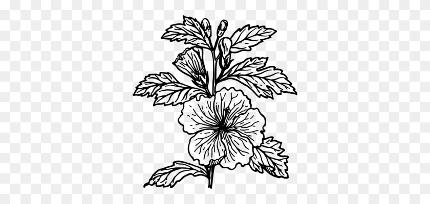 322x340 Книжка-Раскраска Растения Pasqueflower - Клипарт Анемоны