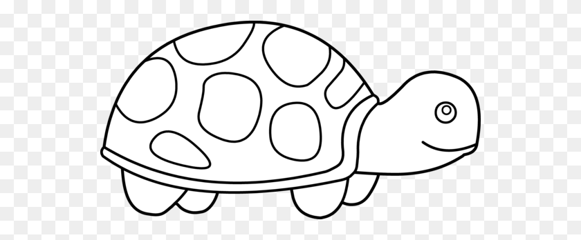 550x288 Dibujos Para Colorear Tortuga Clipart - Dibujos Para Colorear Png