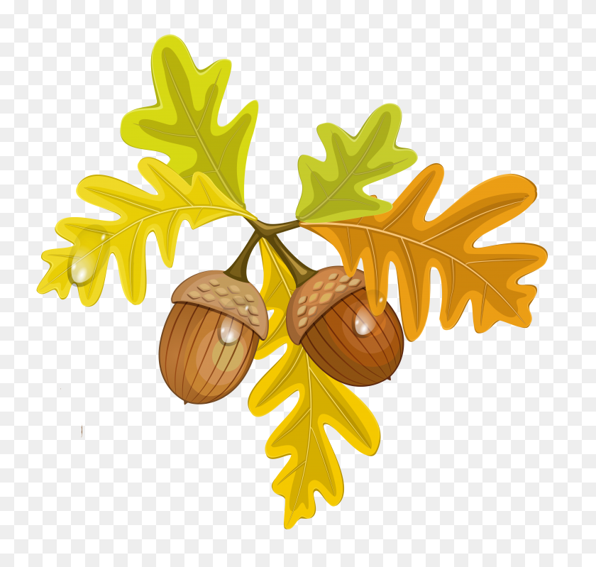 4110x3898 Colouful Clipart Acorn - Fall Leaves Clipart PNG