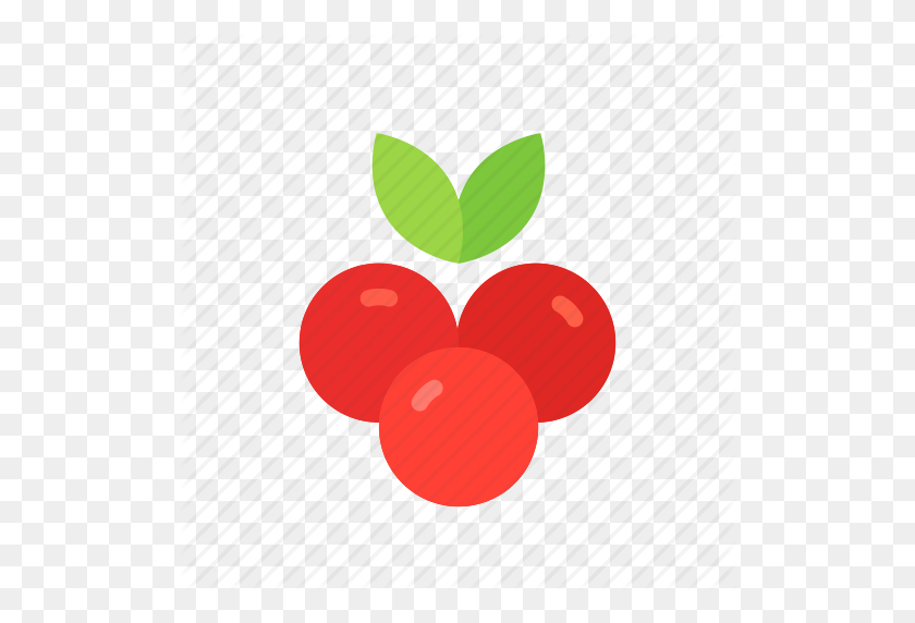 512x512 Colour, Cranberries, Cranberry, Currant, Food, Fruit, Red Icon - Cranberry PNG