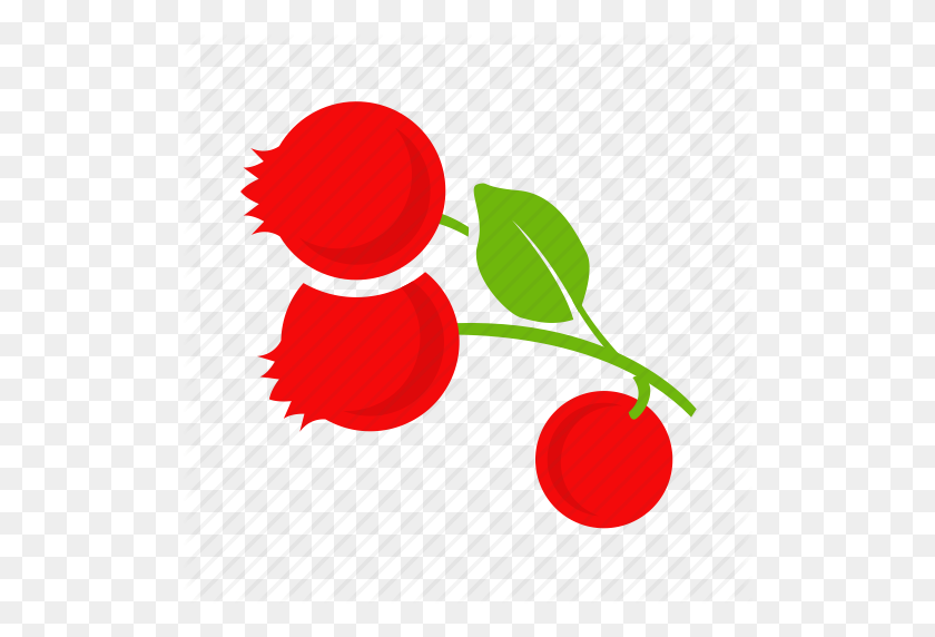 512x512 Colour, Cranberries, Cranberry, Currant Icon - Cranberry PNG