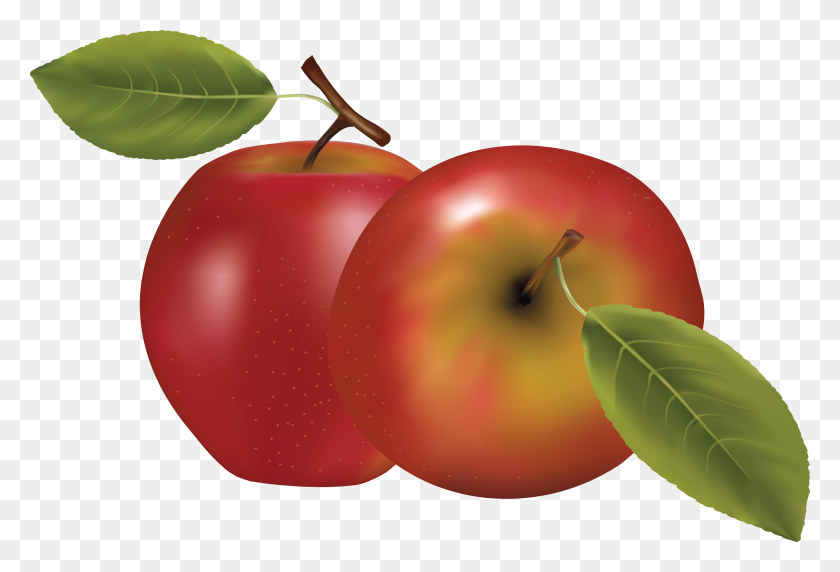 3509x2304 Coloured Apple Clipart Regarding Apple Clipart - Free Clipart For Mac