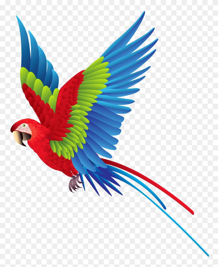 3214x4000 Colorful Parrot Png Clipart Music Notes - Nota Musical Clipart Fondo Transparente