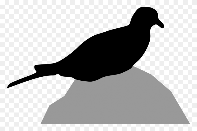 1172x750 Columbidae Bird Mourning Dove European Turtle Dove Silhouette Free - Turtle Silhouette Clip Art