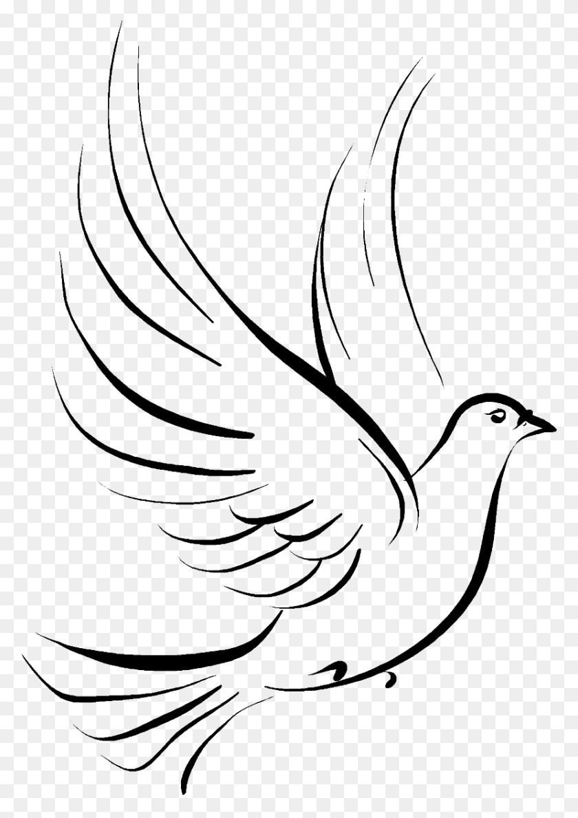 830x1202 Columbidae Doves As Symbols Drawing Clip Art - Free Funeral Clipart
