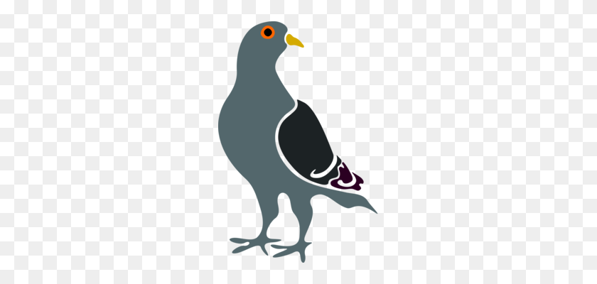 225x340 Columbidae Homing Pigeon Bird Drawing Black And White Free - Pigeon Clipart Black And White