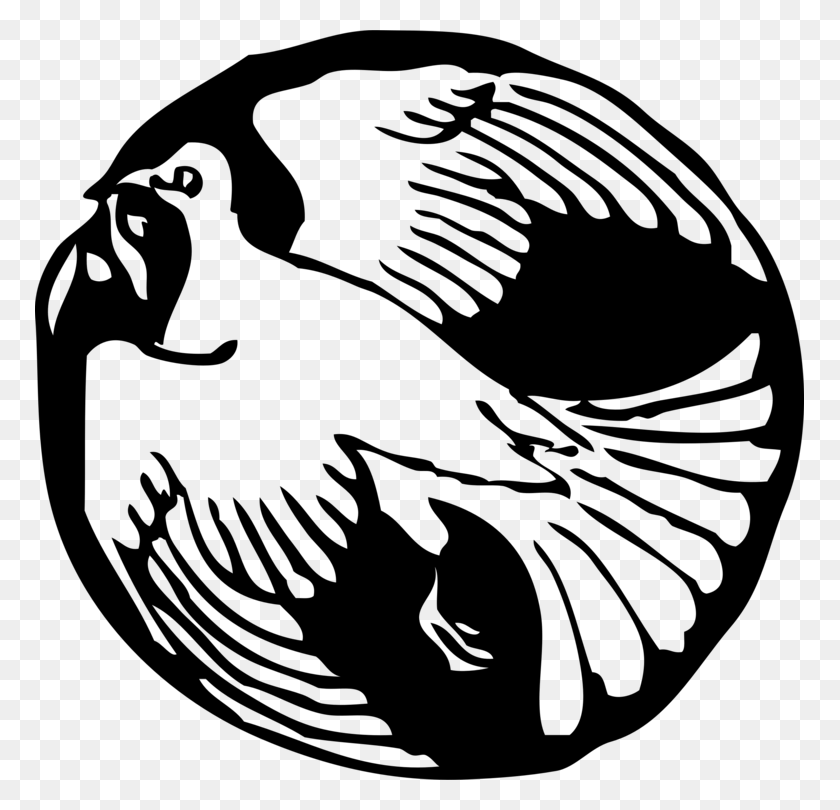769x750 Columbidae Line Art Computer Icons Download Doves As Symbols Free - Dove Black And White Clipart