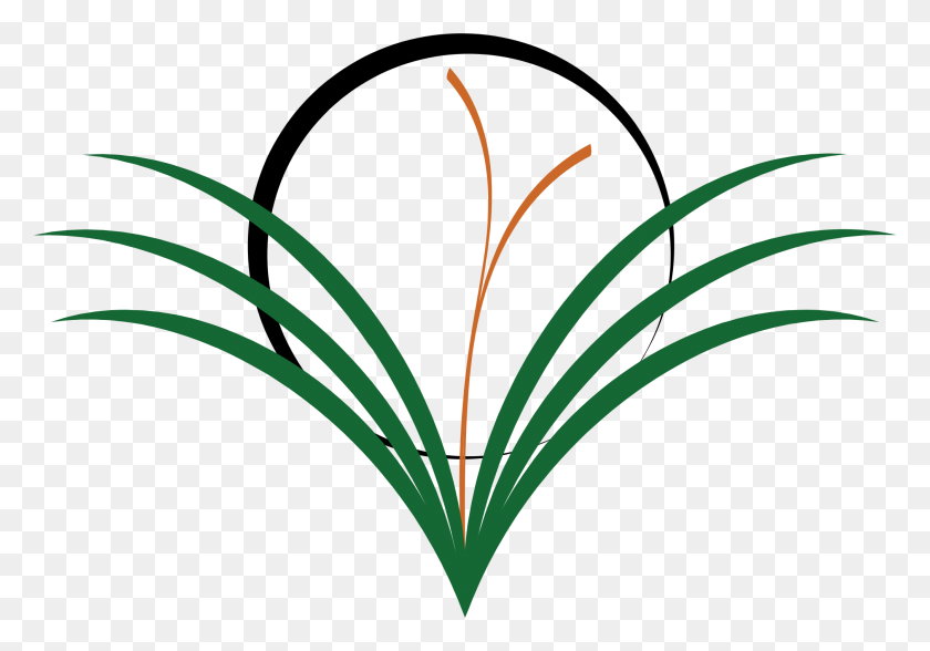 2019x1368 Coming Out Of The Weeds Icons Png - Weeds PNG