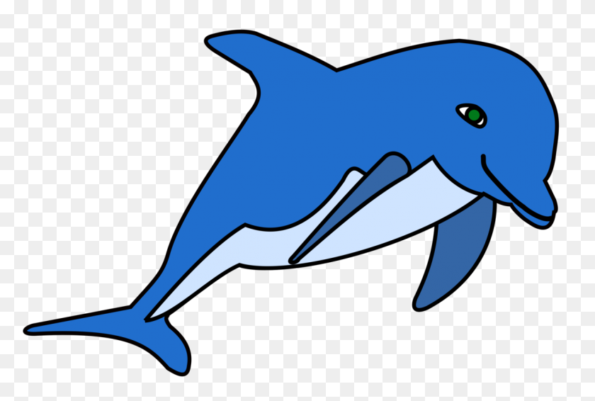 1154x750 Common Bottlenose Dolphin Download Document Cetacea Free - Porpoise Clipart