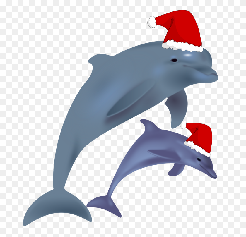 750x750 Common Bottlenose Dolphin Jumping Clip Art Christmas Drawing Free - Porpoise Clipart