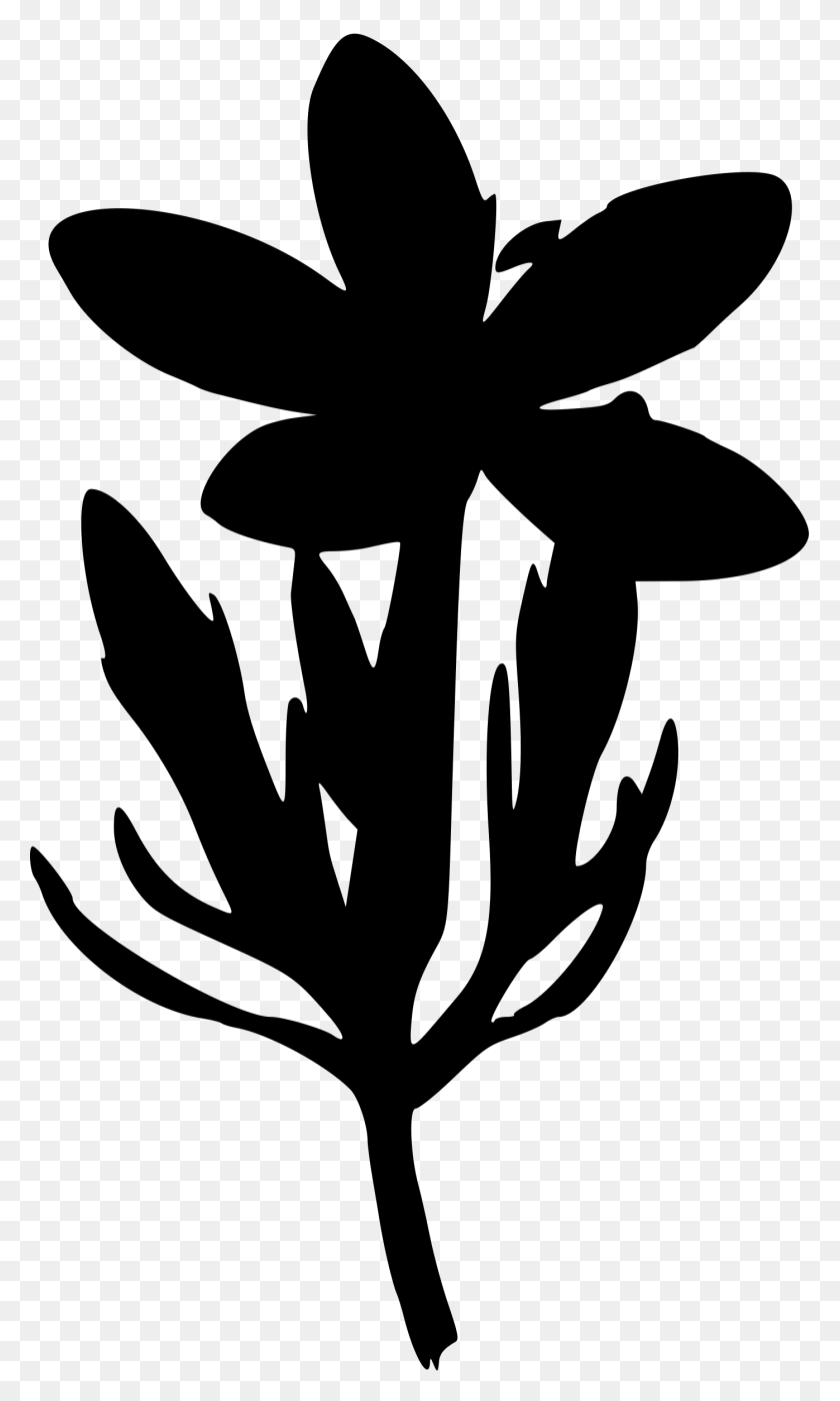 1397x2400 Common Centaury Flower - Flower Silhouette PNG