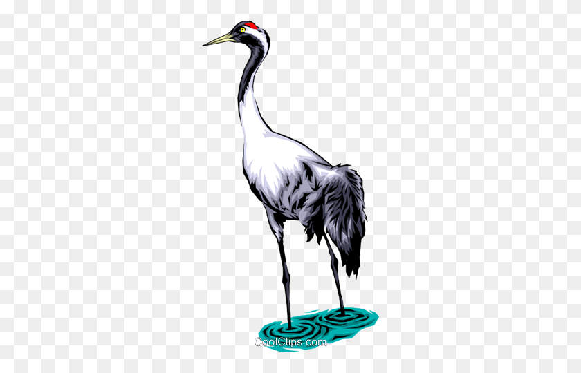 256x480 Common Crane Royalty Free Vector Clip Art Illustration - Crane Bird Clipart