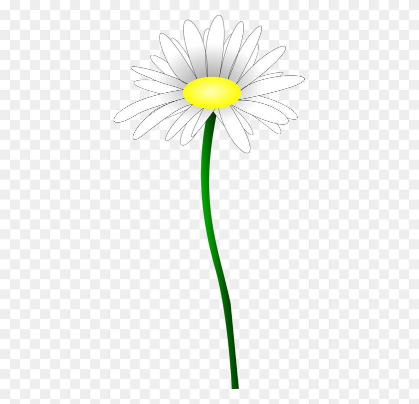 383x750 Common Daisy Oxeye Daisy Petal Line Plant Stem - Flower Petal Clipart