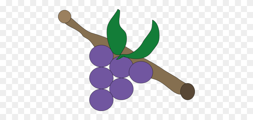 454x340 Common Grape Vine Computer Icons Drawing - Grape Vine Clipart Border