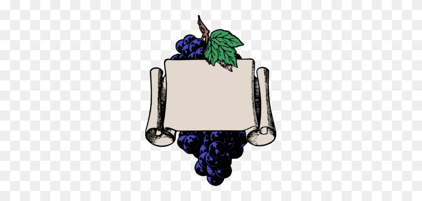 261x340 Common Grape Vine Grape Leaves Wine - Uvas Clipart