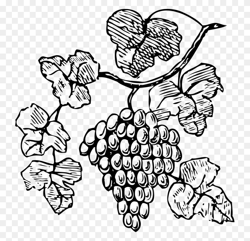 737x750 Common Grape Vine Red Wine Drawing - Grapes Black And White Clipart