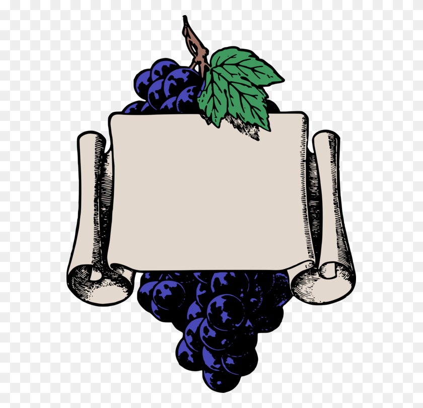 575x750 Common Grape Vine White Wine Sultana - Wine Clipart Free