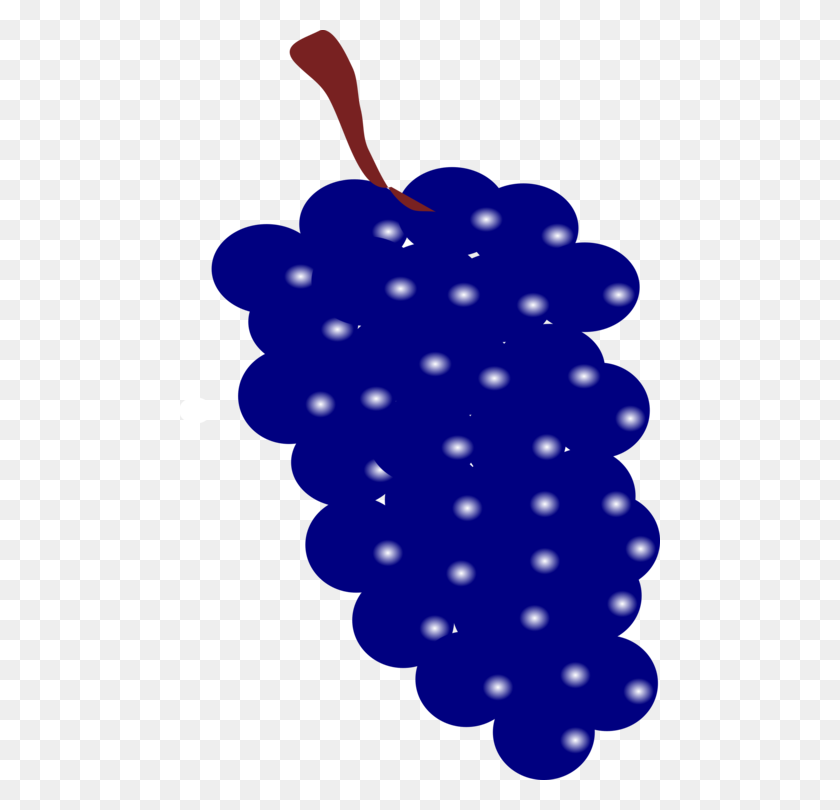 481x750 Común De Uva De Vino De Iconos De Equipo De Frutas - Uvas De Color Púrpura De Imágenes Prediseñadas