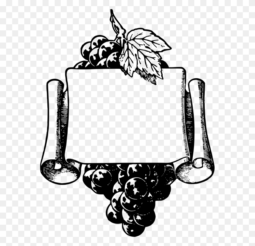 575x750 Common Grape Vine Wine Picture Frames Fruit - Schizophrenia Clipart