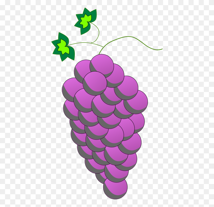 438x750 Common Grape Vine Wine Purple Grape Leaves - Purple Grapes Clipart