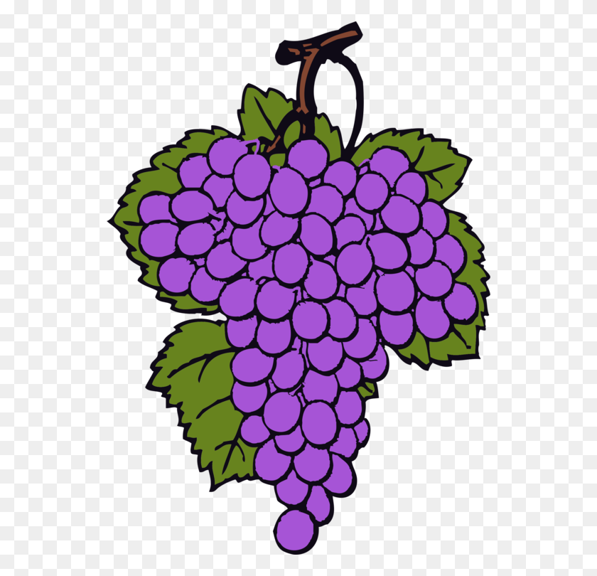 540x750 Common Grape Vine Wine Raisin - Raisin Clipart