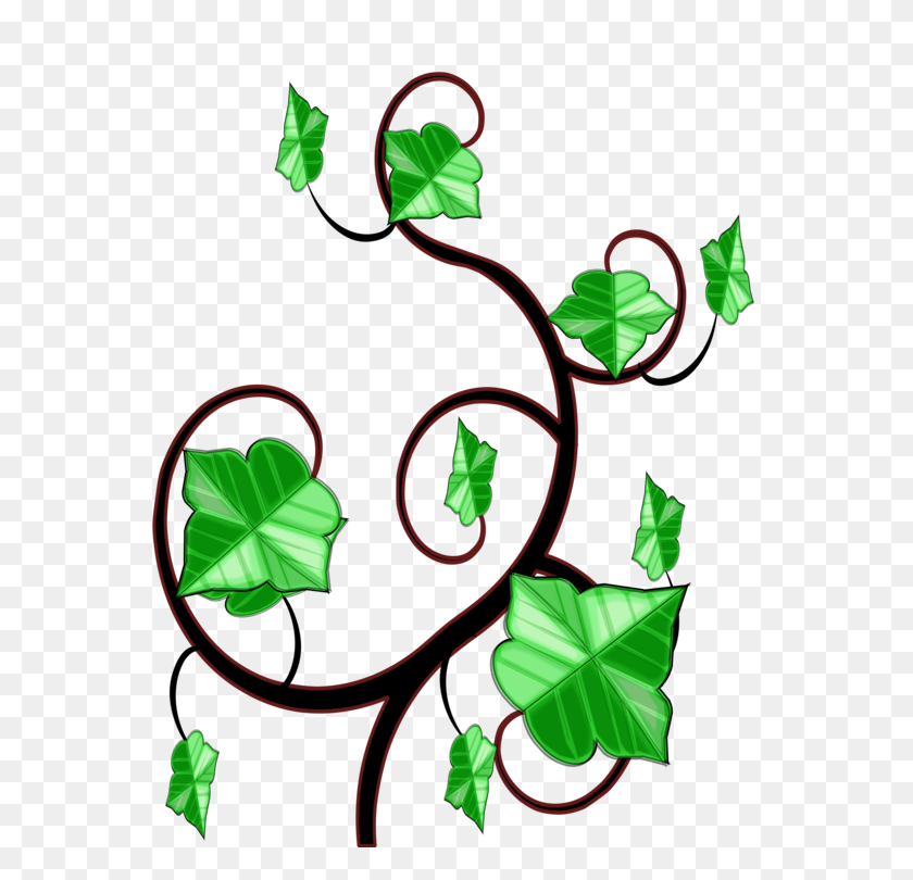 695x750 Common Ivy Computer Icons Vine Drawing - Vines Clip Art