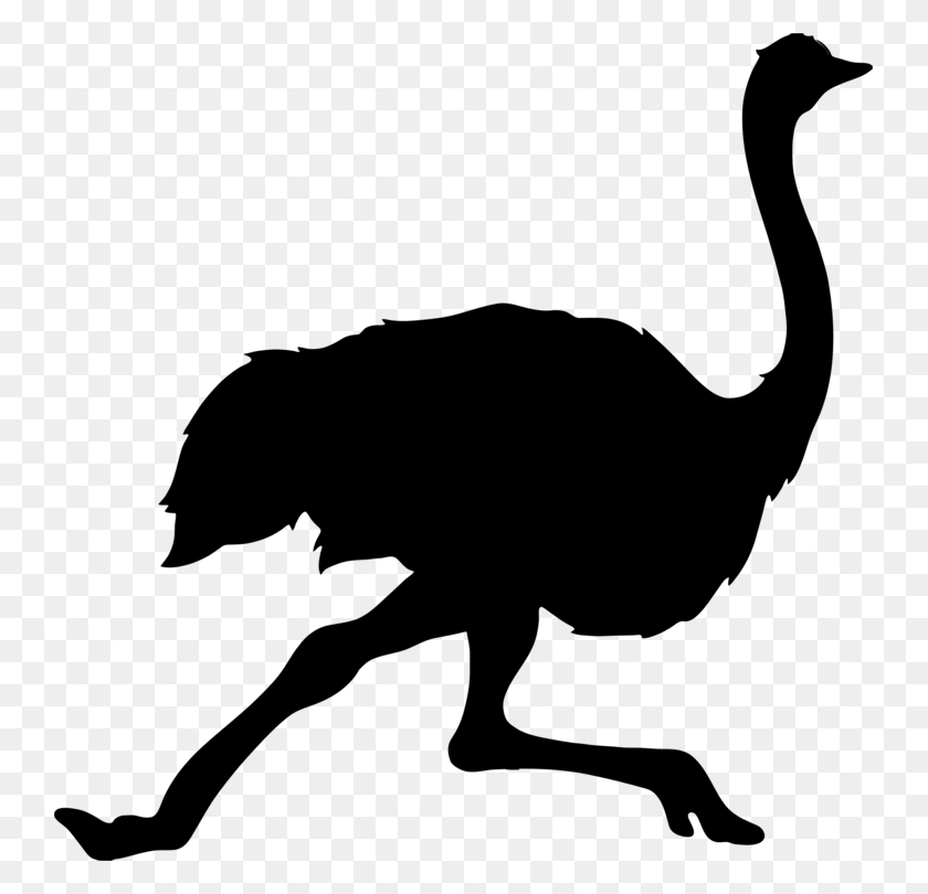 741x750 Common Ostrich Bird Tattoo Clip Art Silhouette Emu - Running Turkey Clipart