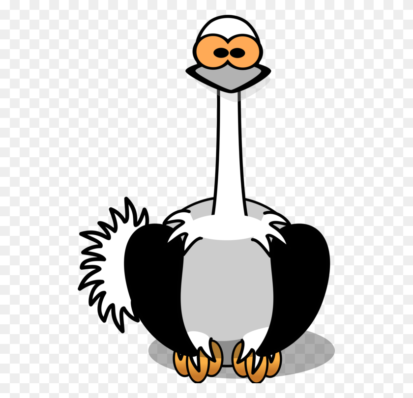 523x750 Common Ostrich Drawing Computer Icons Cartoon Download Free - Ostrich PNG