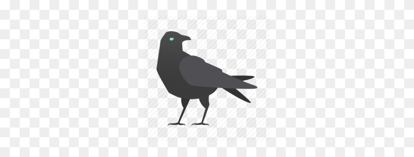 260x260 Common Raven Clipart - Raven PNG