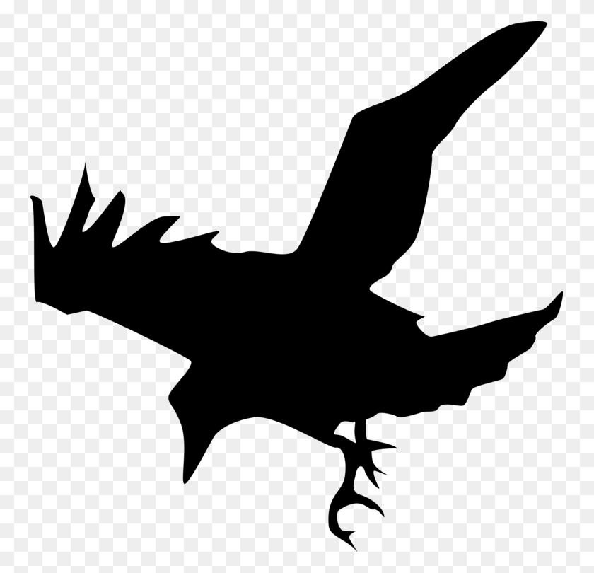 753x750 Common Raven Silhouette Crow Drawing - Raven Clipart Black And White
