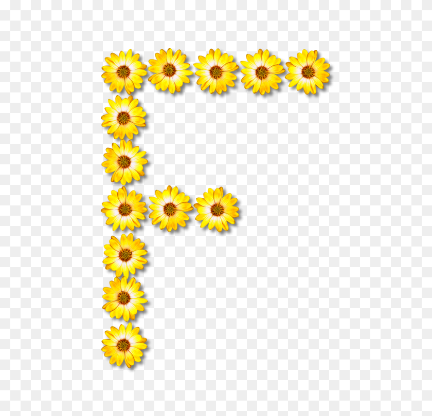 537x750 Common Sunflower Alphabet Petal Floral Design - Sunflower Bouquet Clipart