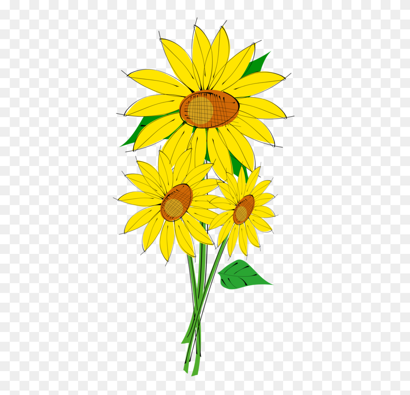383x749 Common Sunflower Download Drawing Computer Icons - Sunflower PNG