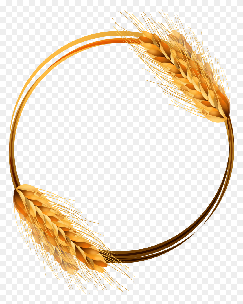 2326x2953 Common Wheat Ear Crop - Wheat PNG