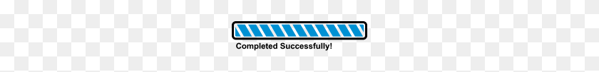 190x42 Completed Successfully - Loading Bar PNG