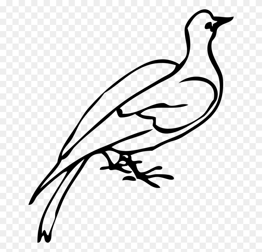 658x750 Computer Icons Columbidae Doves As Symbols Drawing Download Free - Dove Clipart Black And White