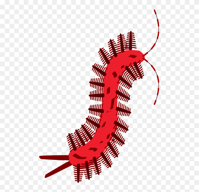 530x750 Computer Icons Download Latin Woman Scolopendra - Latin Clipart