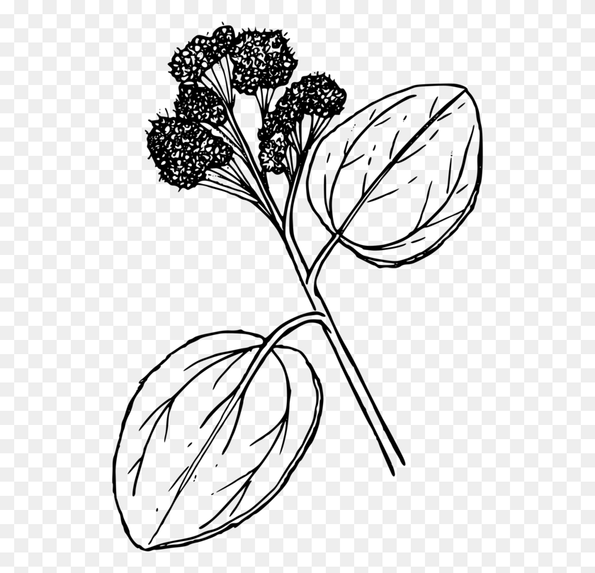 524x749 Computer Icons Floral Design Buckbrush Paint Brushes Free - Paintbrush Clipart Black And White