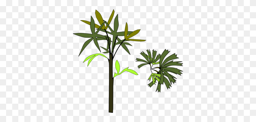 362x340 Computer Icons Palm Trees Rhapis Excelsa Download - Palm Tree Leaf PNG