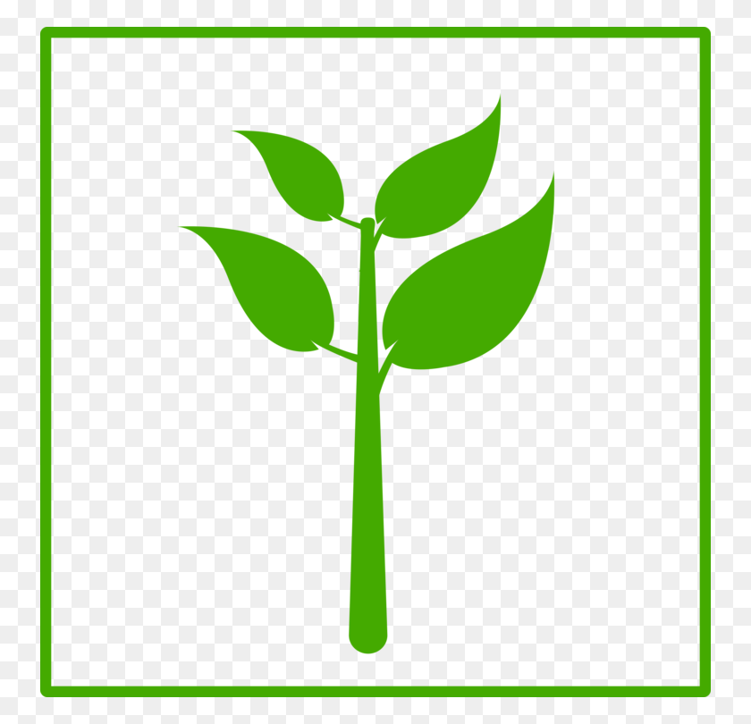 750x750 Computer Icons Plant Stem Green Leaf - Plant Stem Clipart