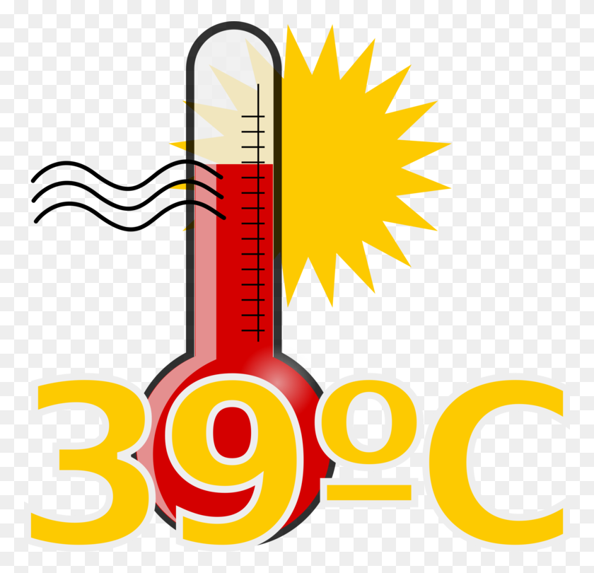 772x750 Computer Icons Thermometer Temperature Download Image Formats - Temperature Clipart