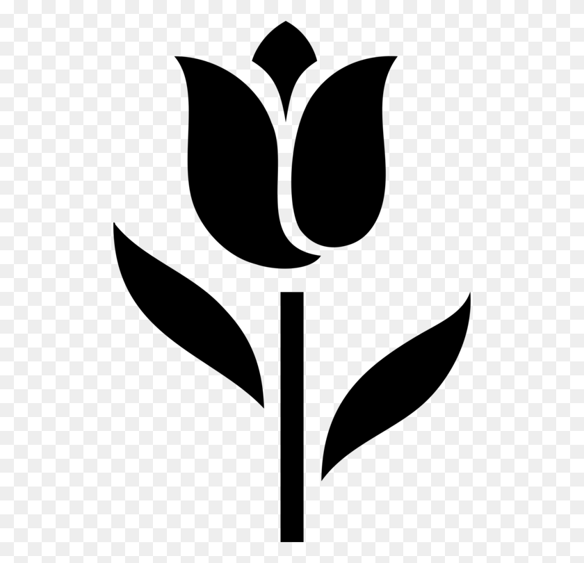 514x750 Computer Icons Tulip Flower Symbol - Computer Icon PNG