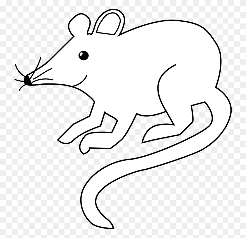 743x750 Computer Mouse Document Drawing Encapsulated Postscript Free - Rat Clipart Black And White