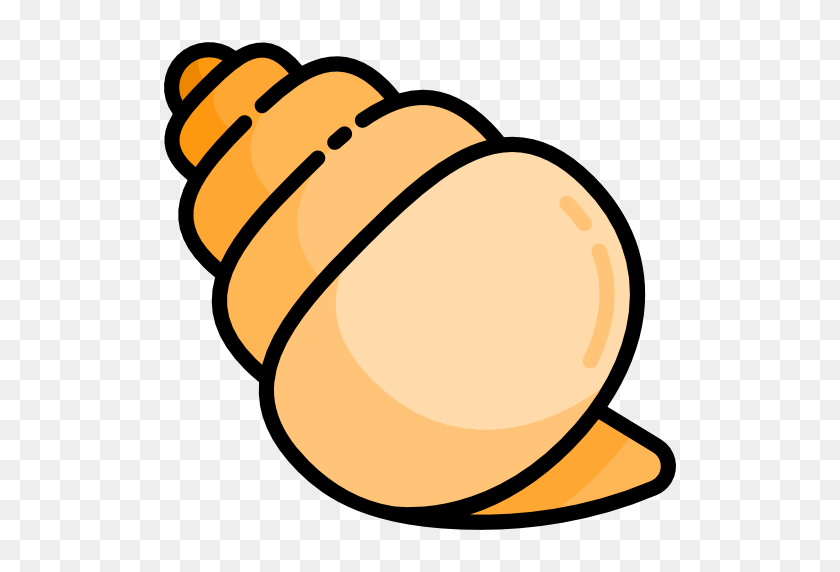 512x512 Conch Shell - Conch PNG